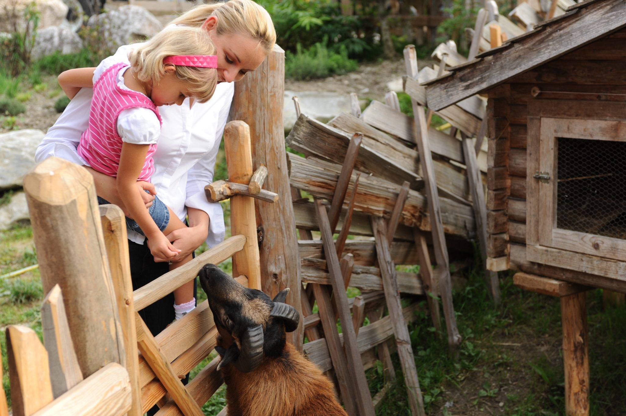 Streichelzoo für die ganze Familie
