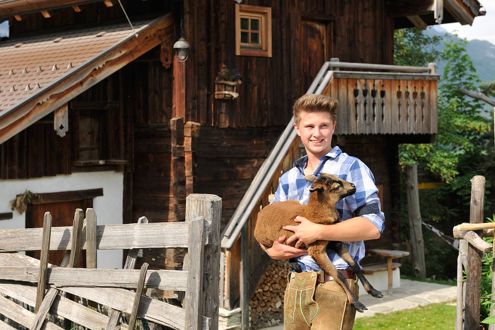 Kamerunschafe - die Lieblinge im Herrschaftstaverne-Streichelzoo
