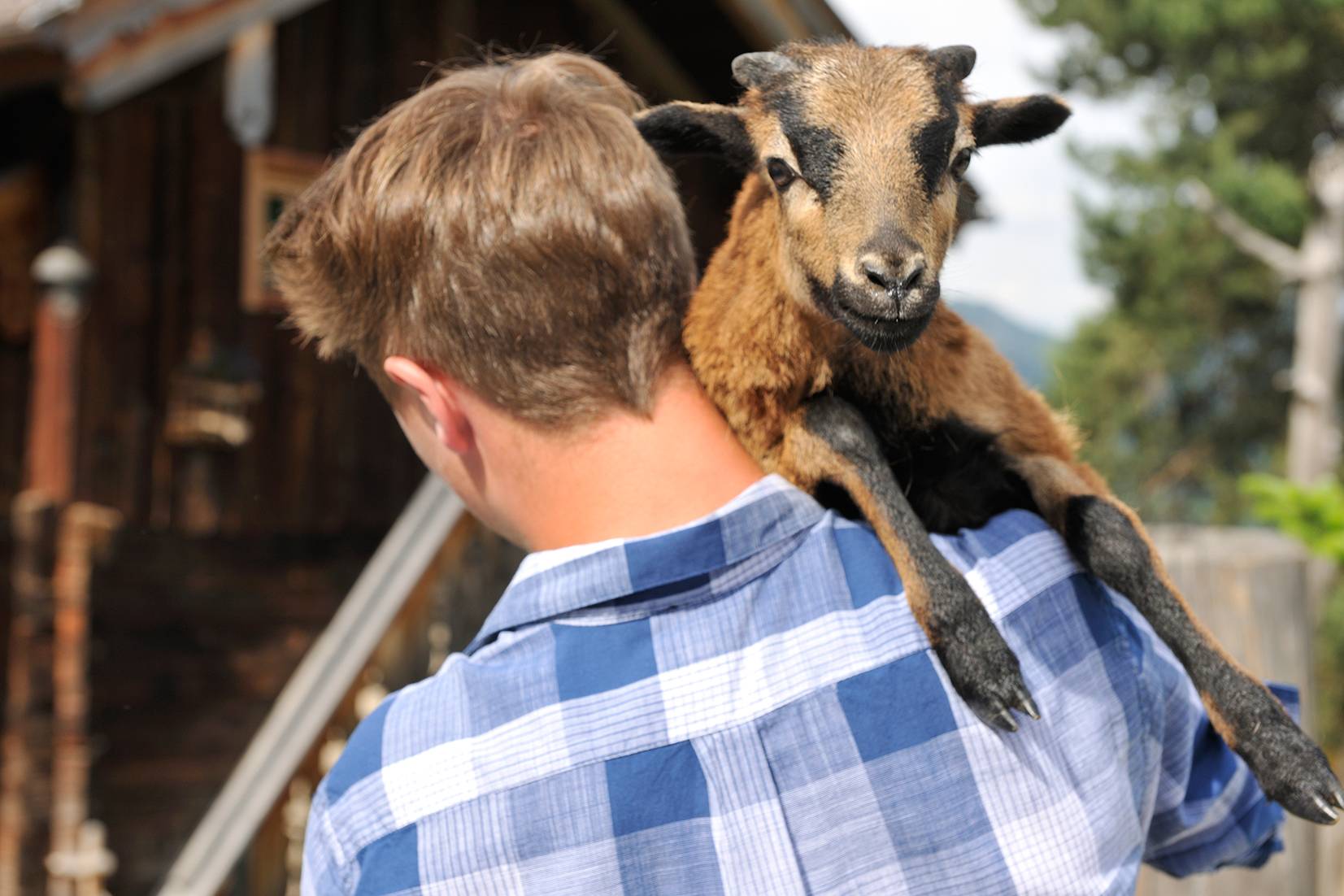 Lust auf eine Streicheleinheit?