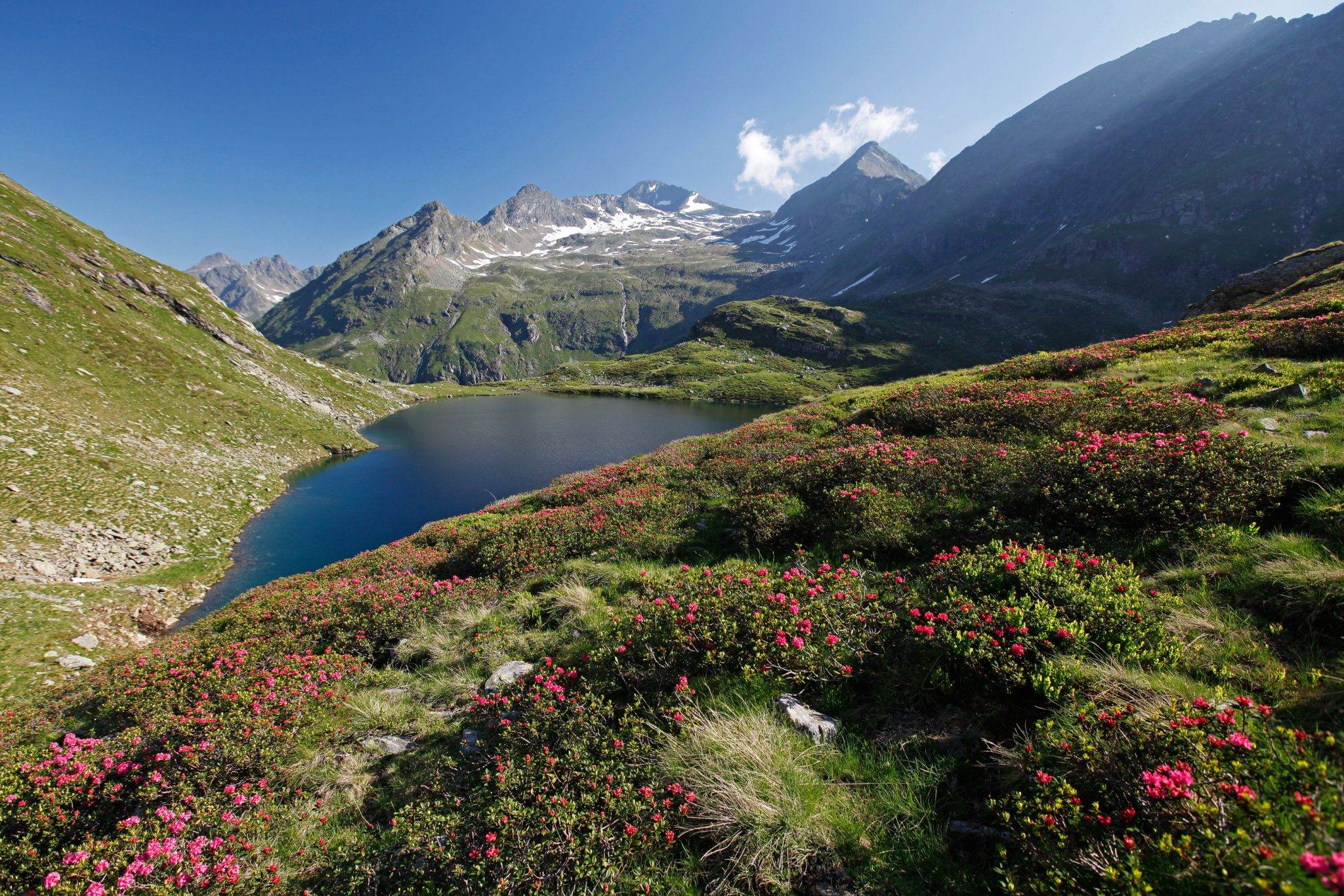 Bergwelt rund um Haus im Ennstal und Schladming
