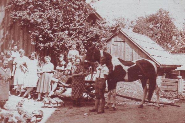 Der Hof der Herrschaftstaverne mit Landwirtschaft um 1938