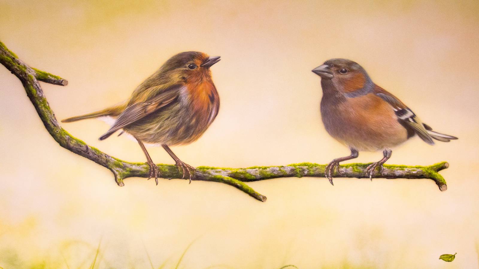 Kinderspielzimmer Hotel Herrschaftstaverne, Haus