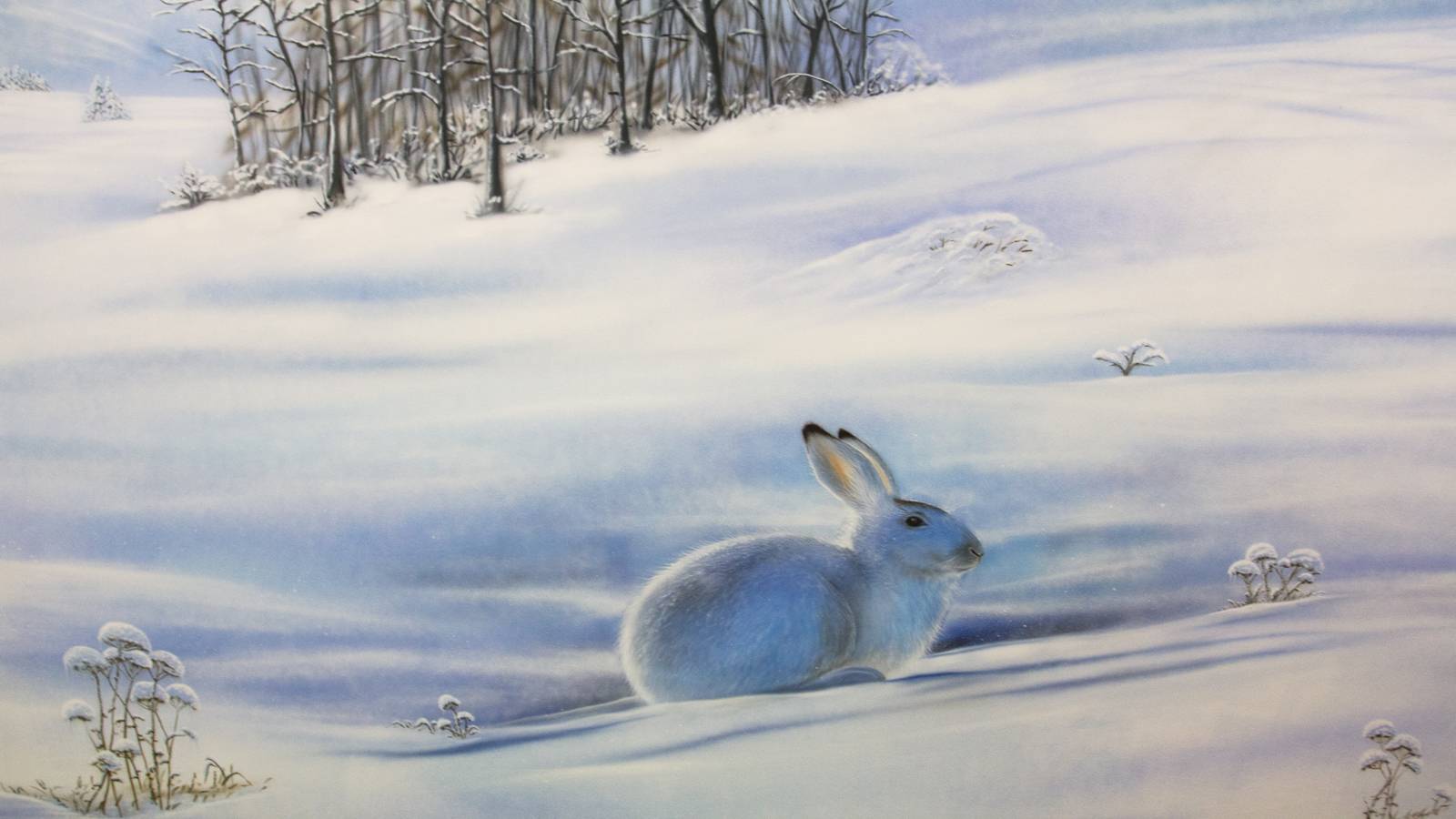 Kinderspielzimmer Wanddesign