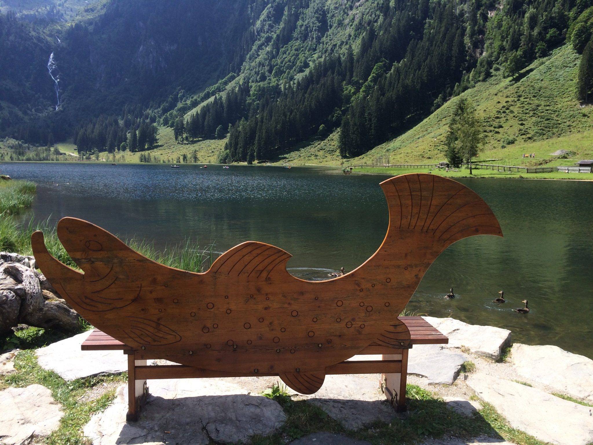 steirischer Bodensee Fisch